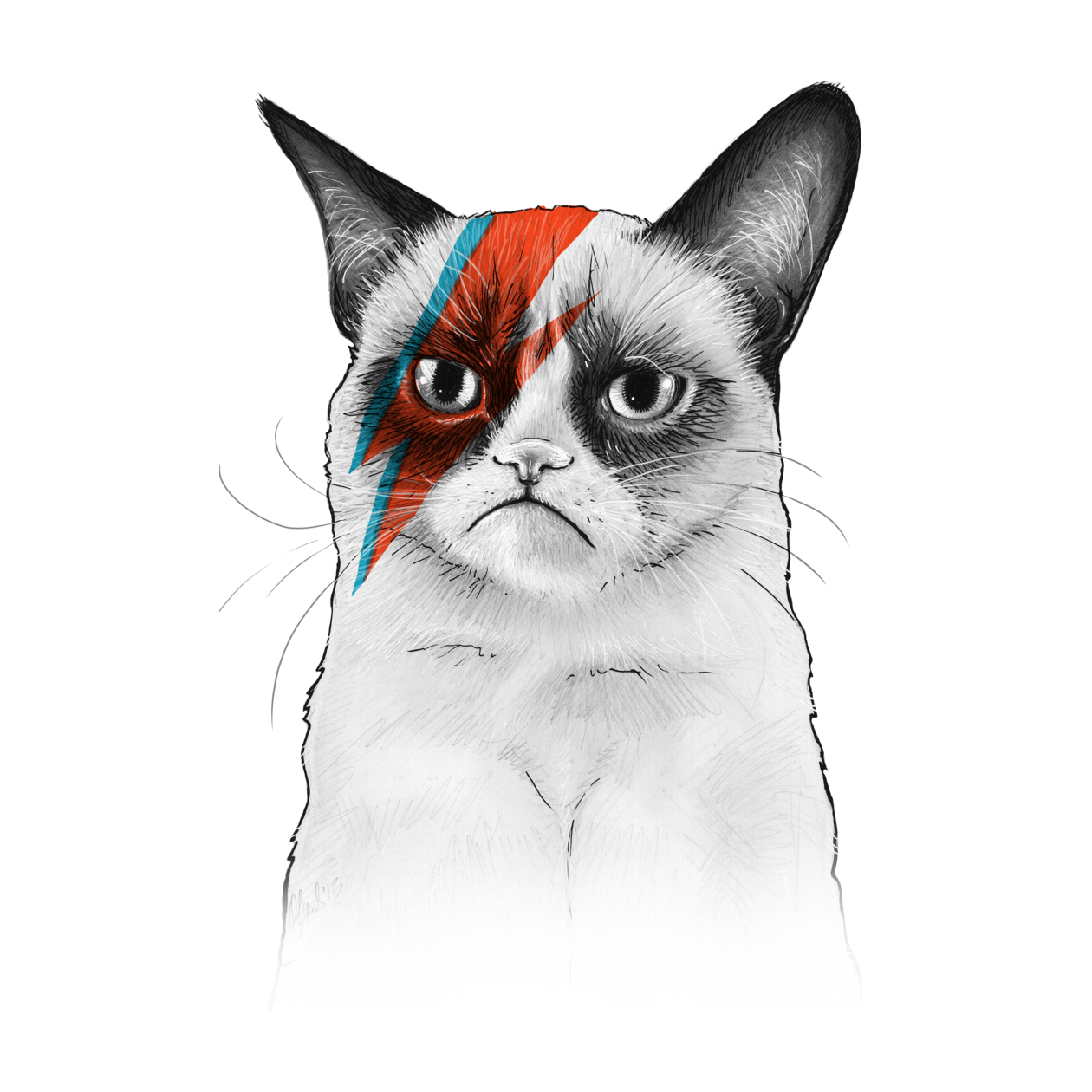 Internet Icon: Grumpy Cat T-Shirts - TeeHunter.com