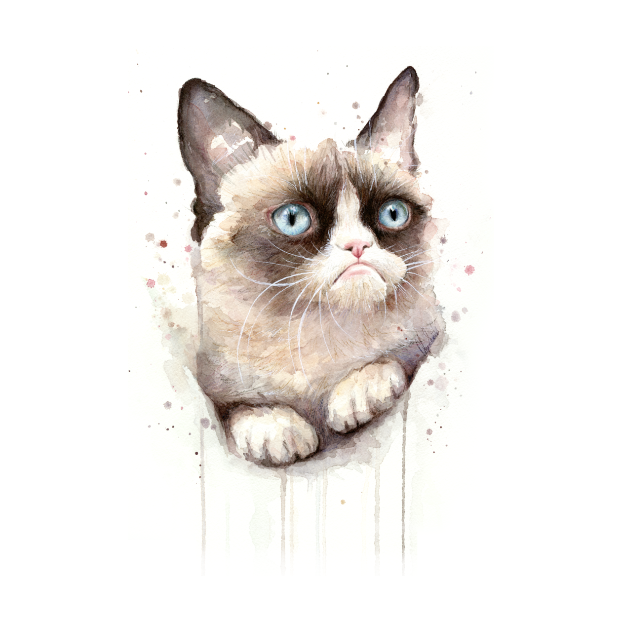 Internet Icon: Grumpy Cat T-Shirts - TeeHunter.com