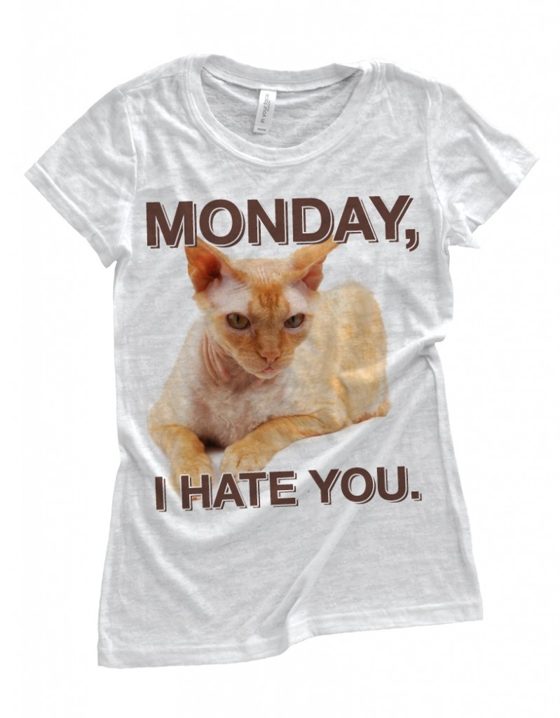 Monday Cat