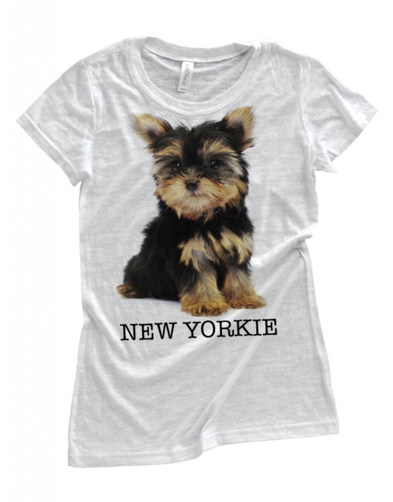 New Yorkie