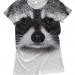 Raccoon