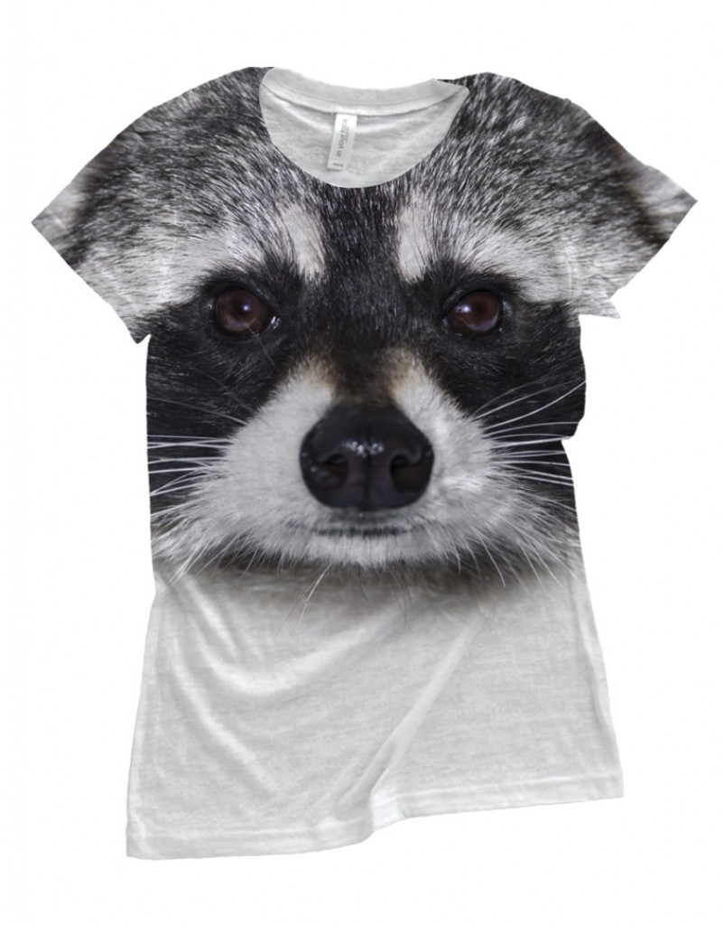 Raccoon