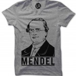 mendel tee grey