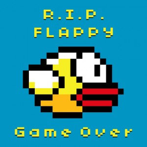 Flappyprev_display