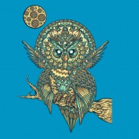 owl