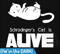 schrodingerscat