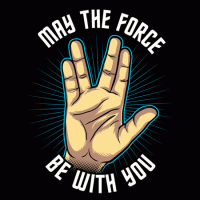 force-be-with-you-shirt-l1