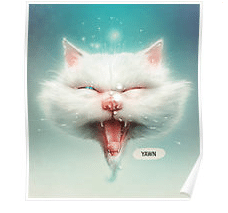 cat poster