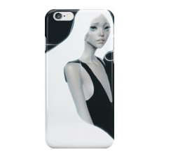 fashion case