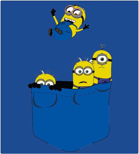 Minions-Pocket_1024x1024_3edd29aa-e62f-4302-933f-064f51f5c67f_1024x1024