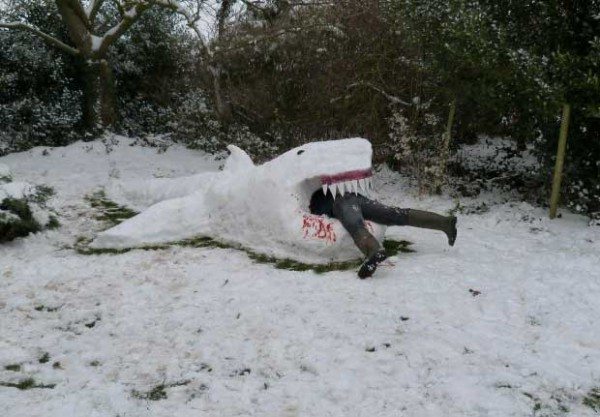 Take Your Snowman to the Next Level shark