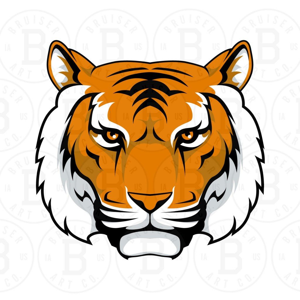 tigers-1a