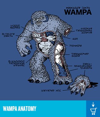 2-wampaanatomy