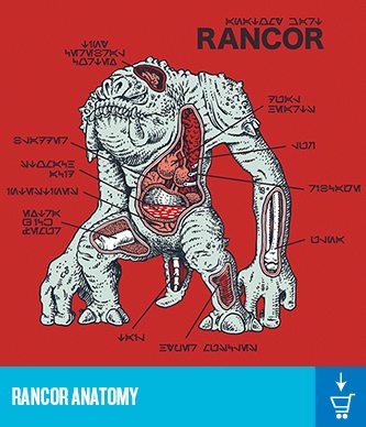 x4-rancoranatomy