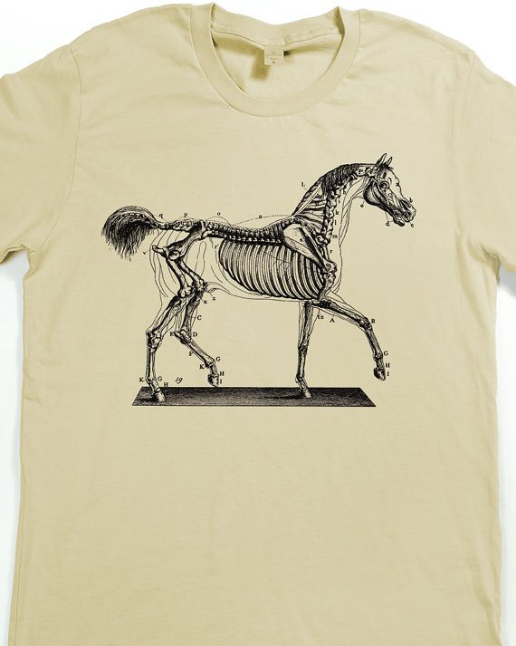 horse2