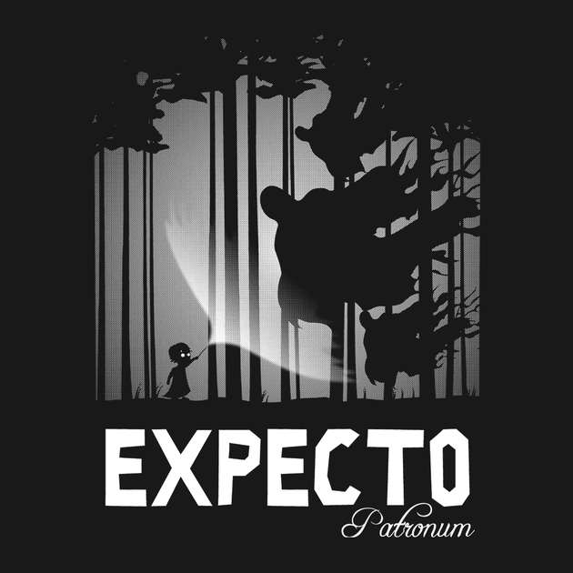 expecto2