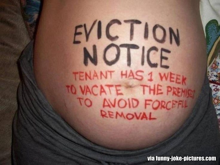 funny-pregnancy-eviction-notice