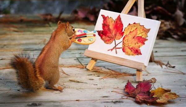 squirrel-painting