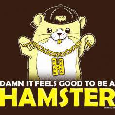 Hamster