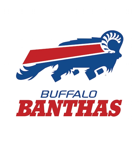 BuffaloBanthas_1024x1024