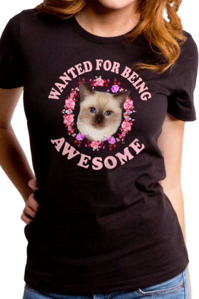 BEING AWESOME WOMEN’S T-SHIRT