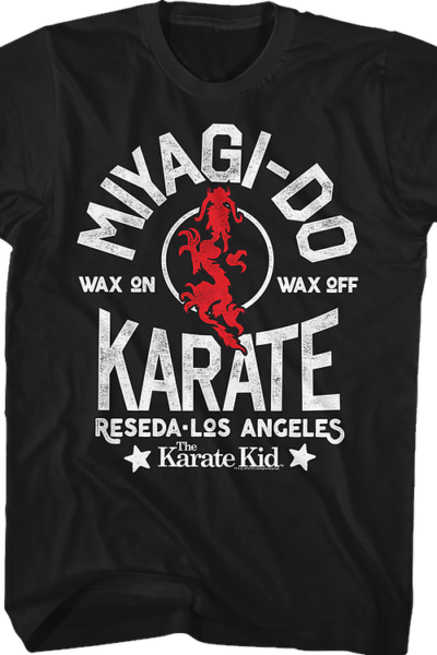 Miyagi-Do Karate Kid