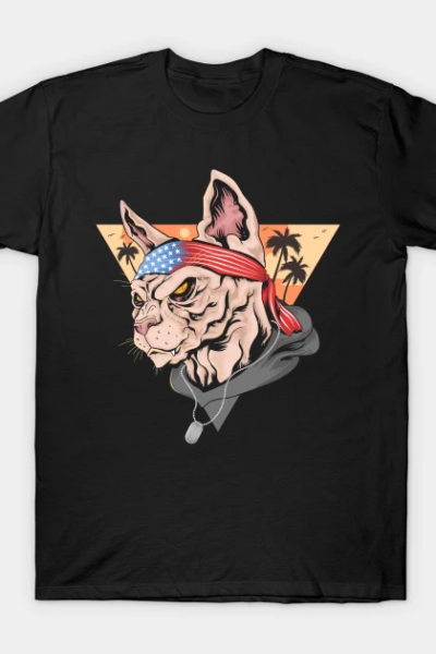 Veteran Cat July 4th Independence Day Gift T-Shirt