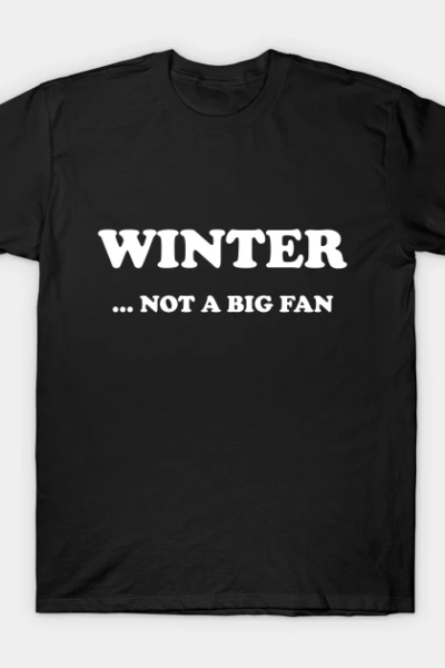 Winter Not A Big Fan Funny T-Shirt