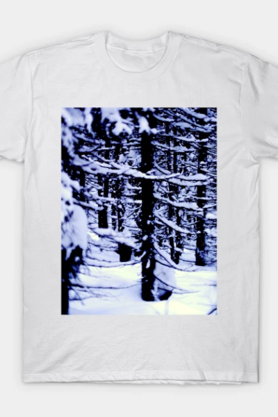 Winter is here! T-Shirt