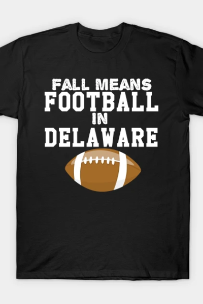 Fall Means Football In Delaware Funny T-Shirt